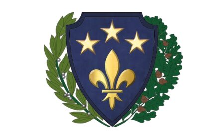 Harcerska Liga Mistrzów – program wsparcia rozwoju drużyn (poprzez rywalizację)