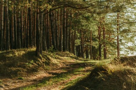 5 ciekawych pomysłów na obóz